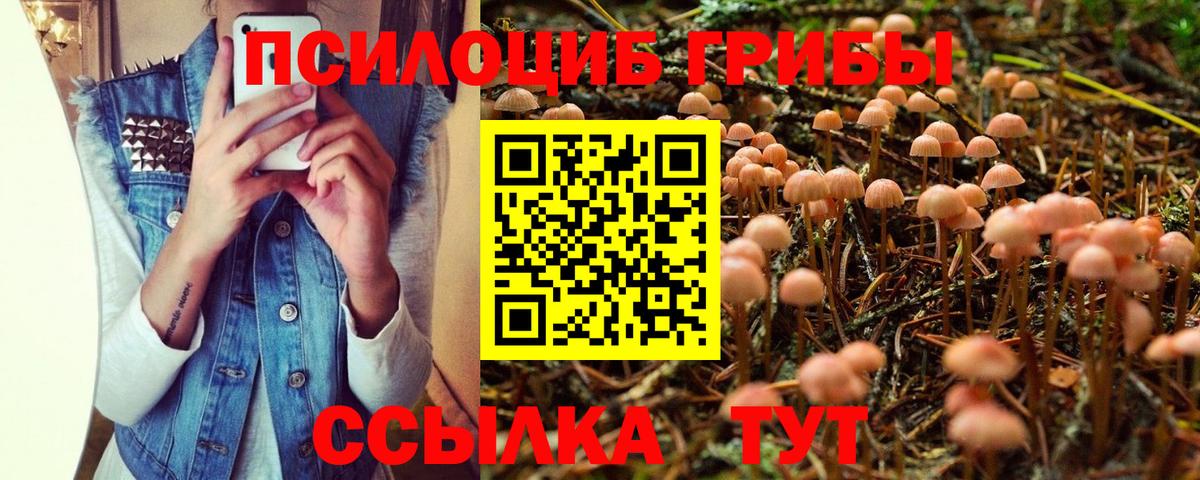 Сосновый Бор  Cocaine  ГАШИШ  Меф МЯУ МЯУ кристаллы  ГАШ  Вход с VPN  Конопля 
